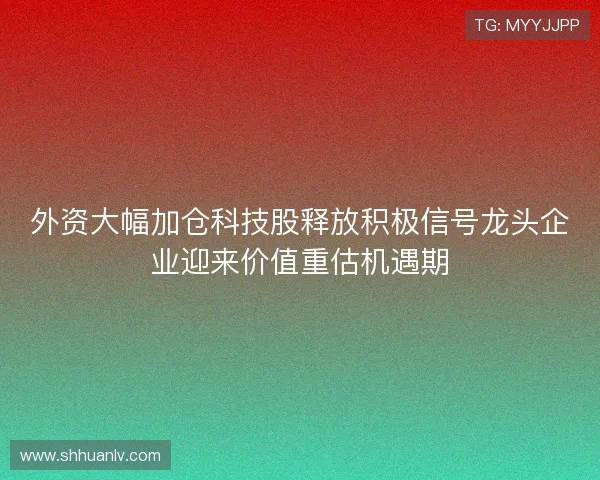 外资大幅加仓科技股释放积极信号龙头企业迎来价值重估机遇期